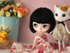 Blythe Cat and Duck